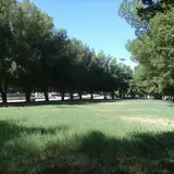 مشاور املاک آپادانا