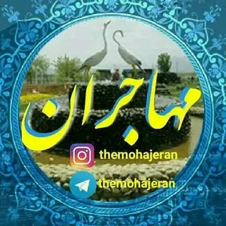 mohajeran