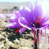 beynabaj