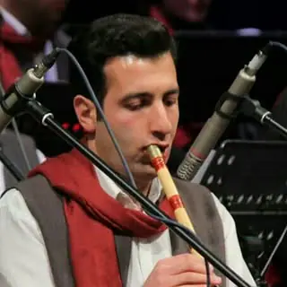 seyed ali hoseini