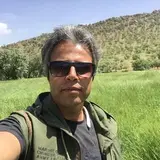 Mohammad Mehrabi