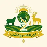 مزرعه سرودشت | اصلاح نژاد دام