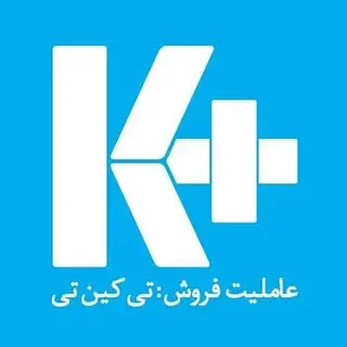 گروه ساختمانی تی کین تی