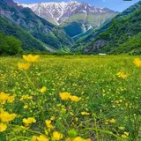 خرید ویلا زمین آپارتمان