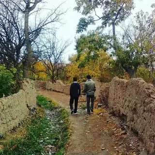 گزیک