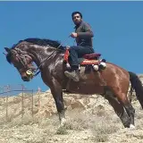 ابراهیم نیستانی