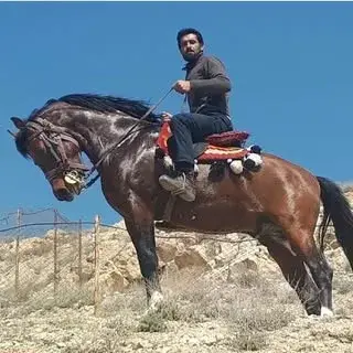 ابراهیم نیستانی
