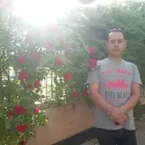 mehdi