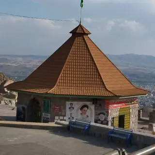 کینگستون زنجان داودی