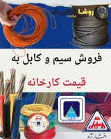 روشا الکتریک