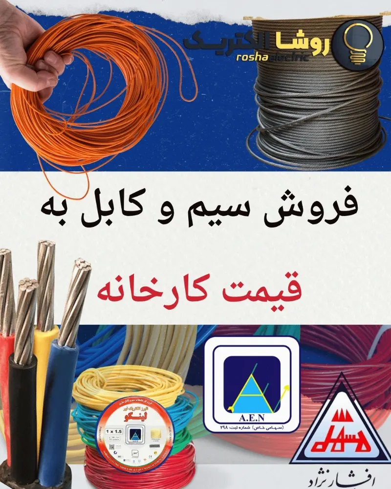روشا الکتریک