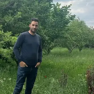 behrozalayi@gmail.com