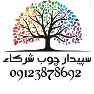 سپیدار چوب شرکاء