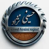 سید حسن حسینی نژاد