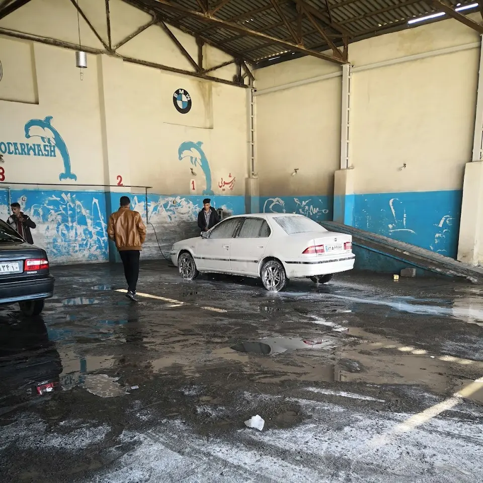 Dolphin Carwash