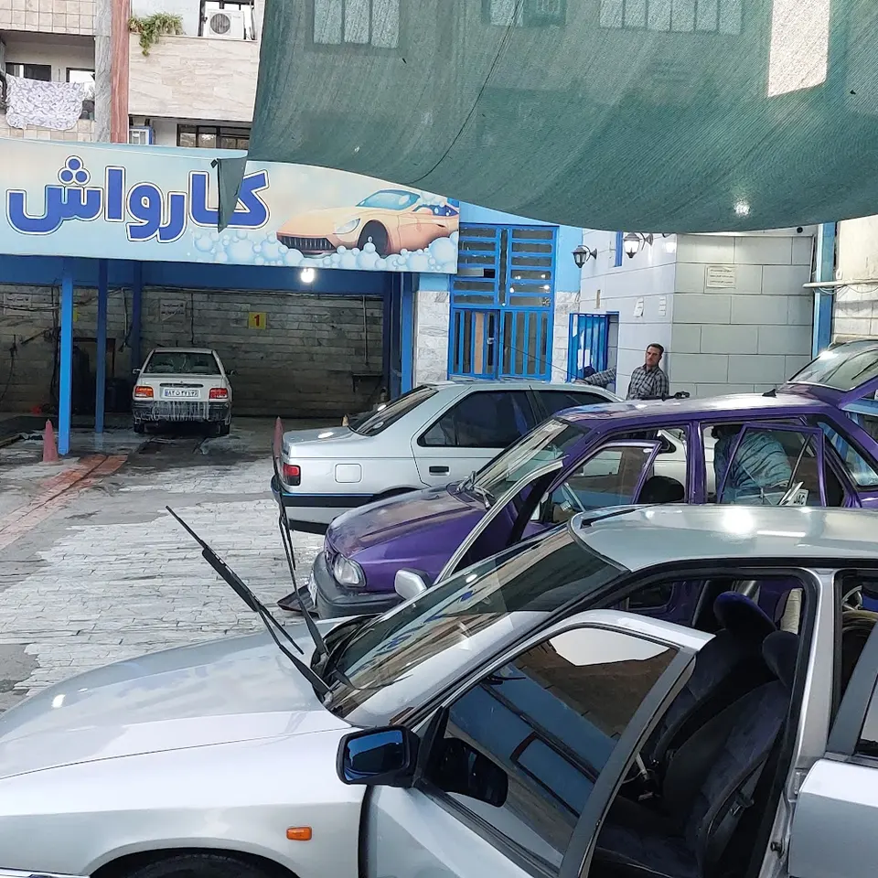 کارواش هامین