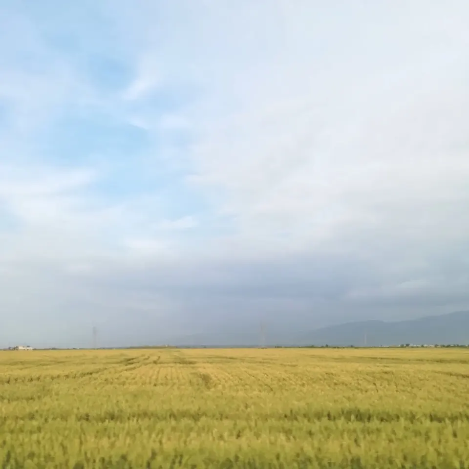 Yukarı Tarar (Tatar Olya)
