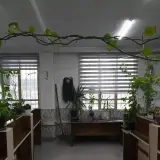 حسابداری و امور مالی آموزش و پرورش ساوه