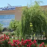 Bozorgmehr University