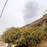کارواش بخار نانو ویژن