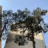 Economy and Accounting Faculty of Islamic Azad University South Tehran Branch