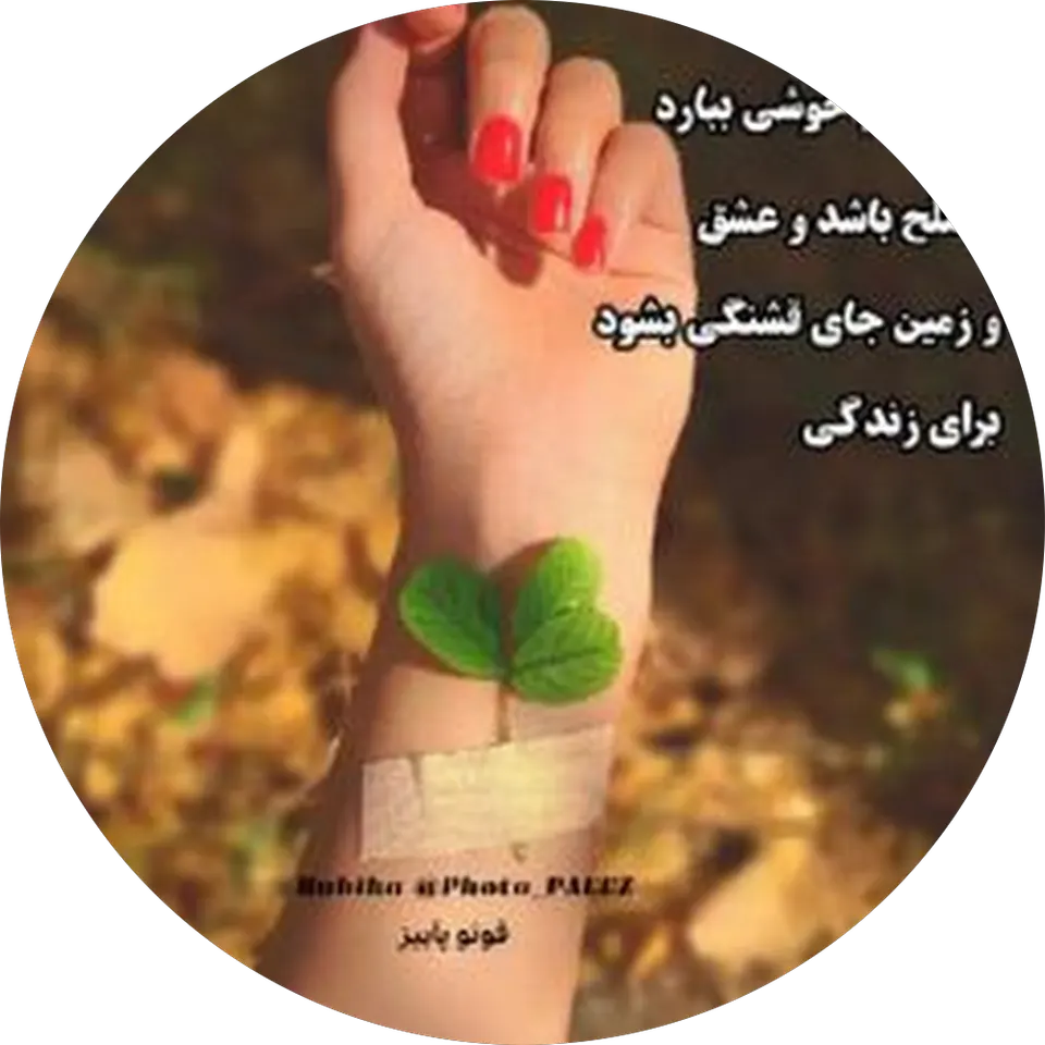 اموزش و تعلیم رانندگی امیر میبد