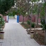 آکادمی زبان محاوره