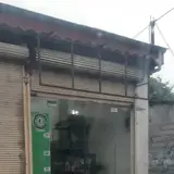 دنیای برد گیل