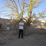 Aryanshahr