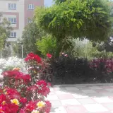 موسسه آموزش عالی حكيم نظامی
