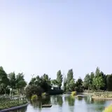 شهرک 22 بهمن