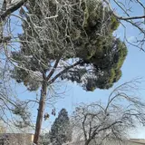 Alborz Province General Department of Technical & Vocational