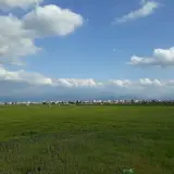 دانشگاه گنبد