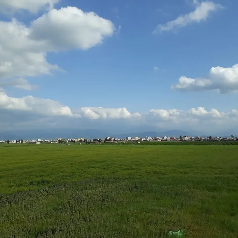 دانشگاه گنبد