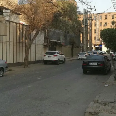Arian schools