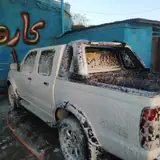 کارواش دنا