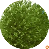 کارواش مدرن