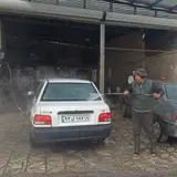 کارواش بیژن