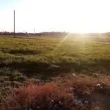 Aresk