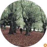 بانک حکمت ایرانیان