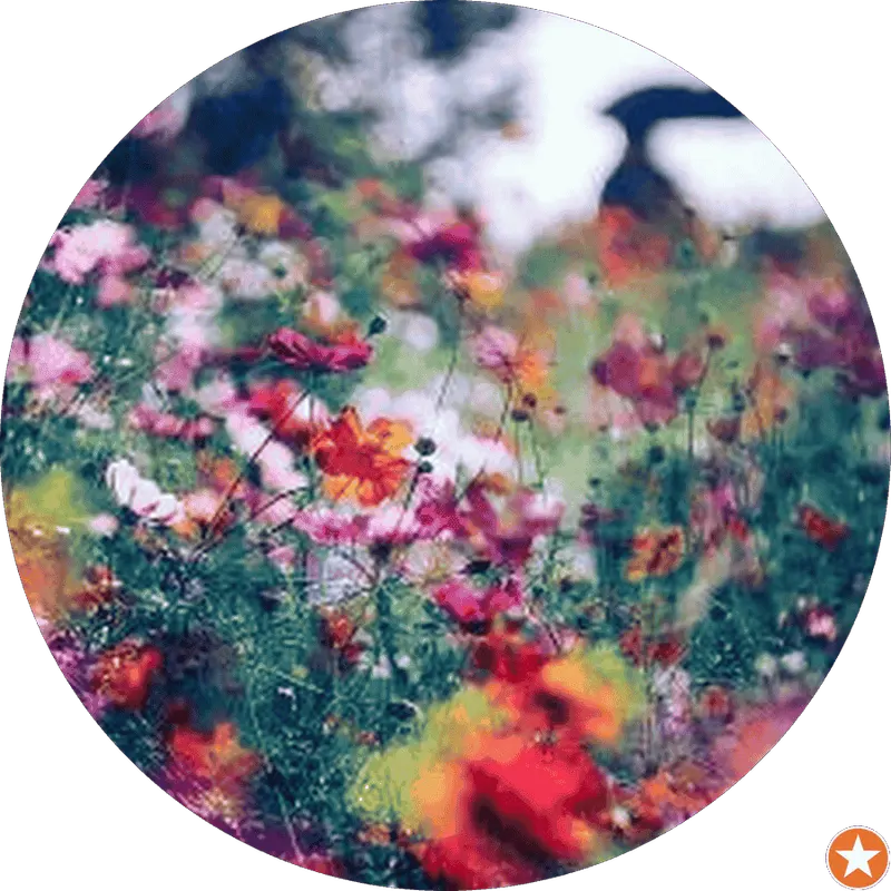 فنی حرفه ای کوهدشت