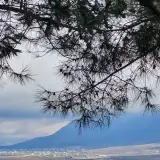 موسسه آموزش عالی میلاد گلستان