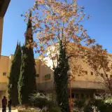 Shahid Bahonar University of Kerman