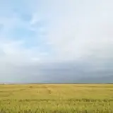 Tatar Olia