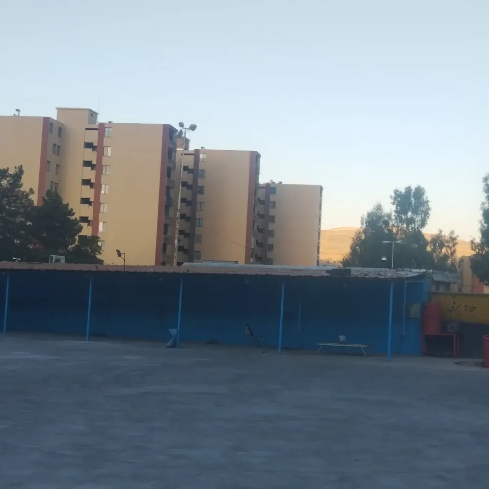 کارواش ارس