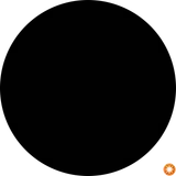 کارواش دولت