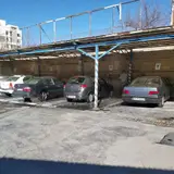 کارواش ایرانیان