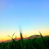 مرکز آموزش فنی و حرفه ای ممسنی