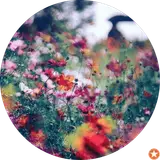 فنی حرفه ای کوهدشت