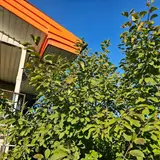هنرستان حرفه ای سنایی